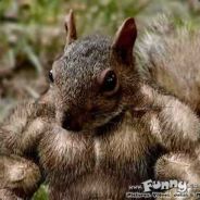 ֍| Q-ԨᴓᴚᴺͼԩΞN |֎