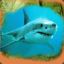 new compte: shark_le_requin