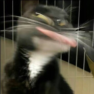 这周日你有空吗