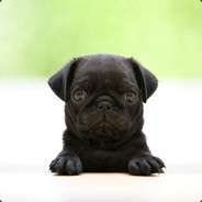 我不骚没谁了丶