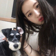 重生之安庆双子星之凤