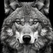 The Wolf