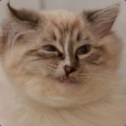 Zukaz - steam id 76561197970992409