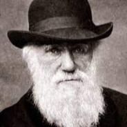 Darwin