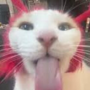 Silly