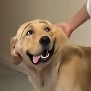 有人！大残！nb！拉我