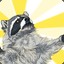 Great raccoon