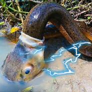 отрыжка угря