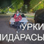 Илья Каштан