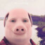 John Pork HD