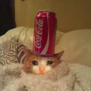 Cat_Cola