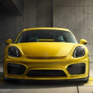 鲜花插牛粪上开花