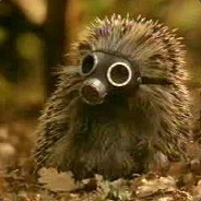 HedgehogPeter