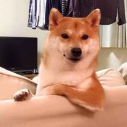 inu