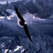 Hawksz - steam id 76561197960736032