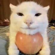 PJW zmarnowany talent