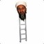 osama bin ladder