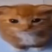 tekulee's avatar
