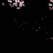 蟹皇堡最拽之人