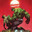 Void