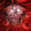 Vena90