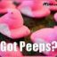 [TBAGRZ]-Peeps-