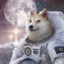 DogeNaut