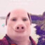 John Pork Gaming