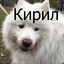 Внатуре Кебури