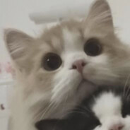 做个俗人，贪财好色