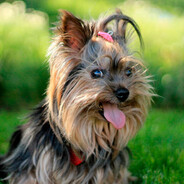 mode: KUCHETA (MAYBEE PRIME)