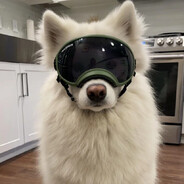 PeakzY_ avatar