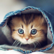 一切都会过去的是吗