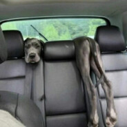 三天之内给你光明