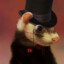 Ferret