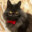 erik9389 avatar