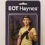 BOT Haynes