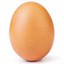 Eggegg552