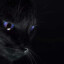 FeelTheDarknesss