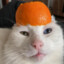 Ludde