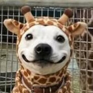 ooooooo