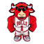 CHICAGO BULLS