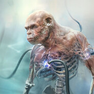 Player Avatar