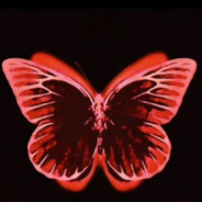 想成为一只电子蝴蝶