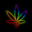 Kannabis