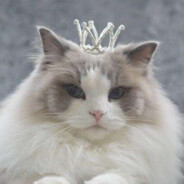 kingcat