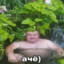 Аято Схуято