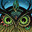 Nocturnal*'s Avatar