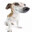 Dogpoopyfart42✬