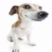 Dogpoopyfart42✬